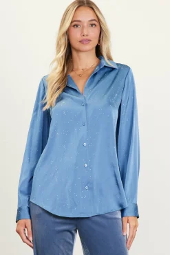 SKIES ARE BLUE Shimmery Button Down Blouse* Long Sleeve Tops