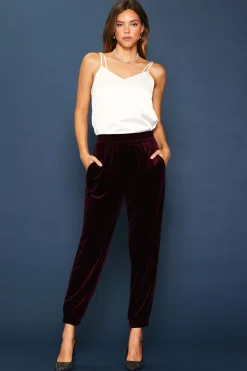 SKIES ARE BLUE Velvet Jogger Pants* Pants